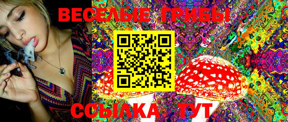 Псилоцибиновые грибы GOLDEN TEACHER  хочу   Людиново  Вход с VPN 